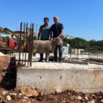 e85087da-def3-4f92-8290-6272615c5c21